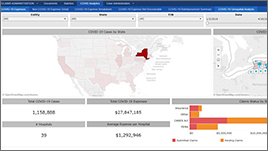 Claims by Deloitte Screenshot